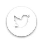Twitter_white-JavaSummit website icon